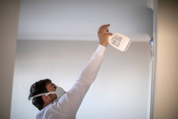 Best Mold Remediation  in Chehalis, WA